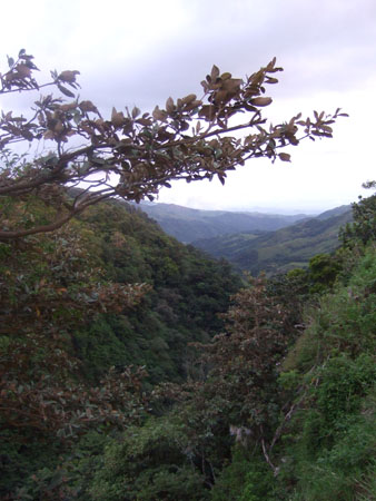 tal_von_monteverde_cr