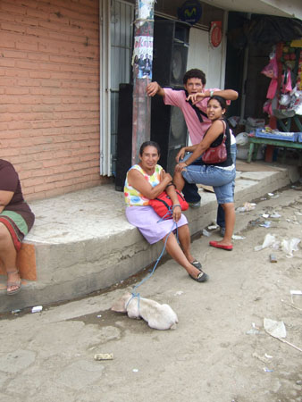 rivas_hausschwein_nach_nicaragua
